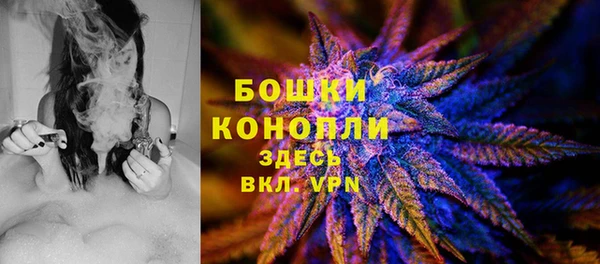 PSILOCYBIN Абаза