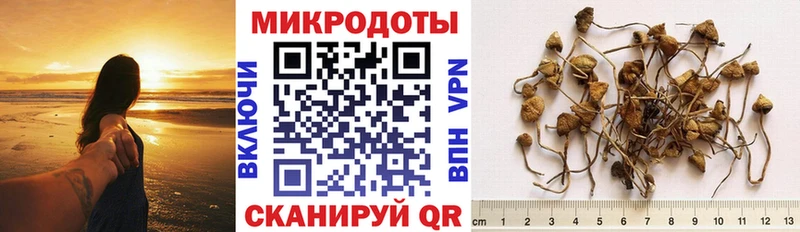 Галлюциногенные грибы мицелий  где продают   Альметьевск 